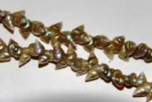 Close up of maireener shells in necklace